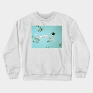 Microscopic free-living nematode worm from garden soil Crewneck Sweatshirt